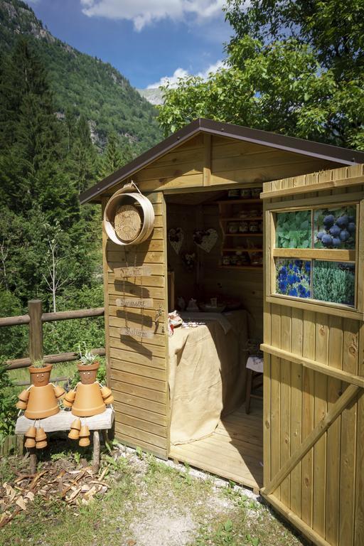 Agritur Manoncin Villa Daone Ngoại thất bức ảnh